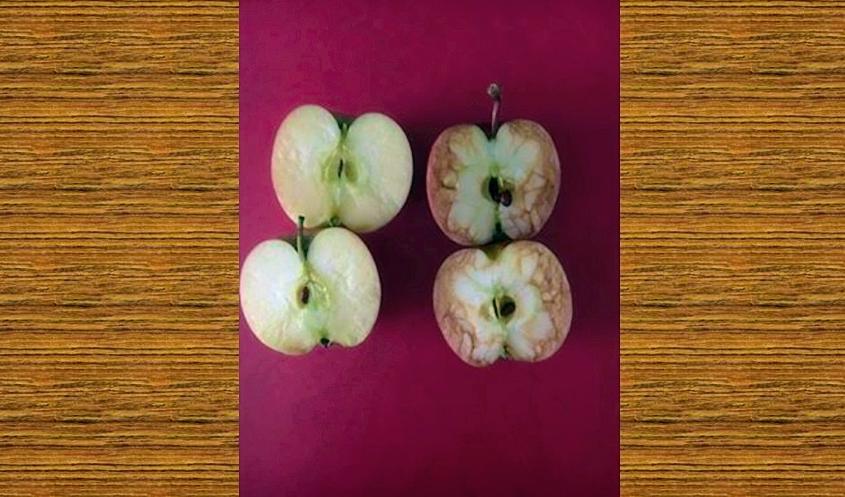 Barnen var överens om att äpplena såg likadana ut på utsidan, de hade samma storlek, var röda och såg saftiga och goda ut. Foto: Relax Kids Tamworth