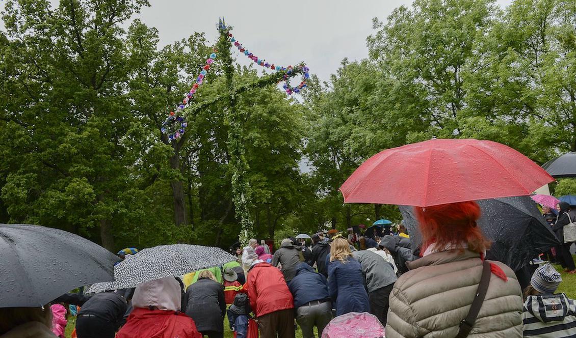 Midsommar väntas bli regnig på många håll i landet. Foto: Jonas Ekströmer/TT/Arkivbild.