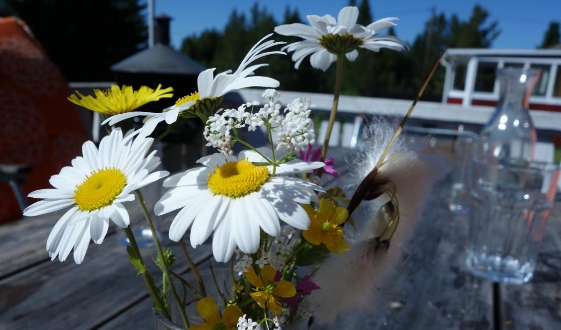 



Foto: Eva Sagerfors                                                                                                                                                                                