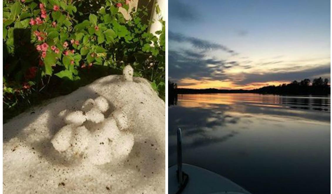 
Is och sommarblommor, Göteborg på söndagen. Foto: Lina Melander/Solnedgång över Duveholmssjön, Katrineholm på lördagkvällen. Foto: Johan Nejdstam                                            