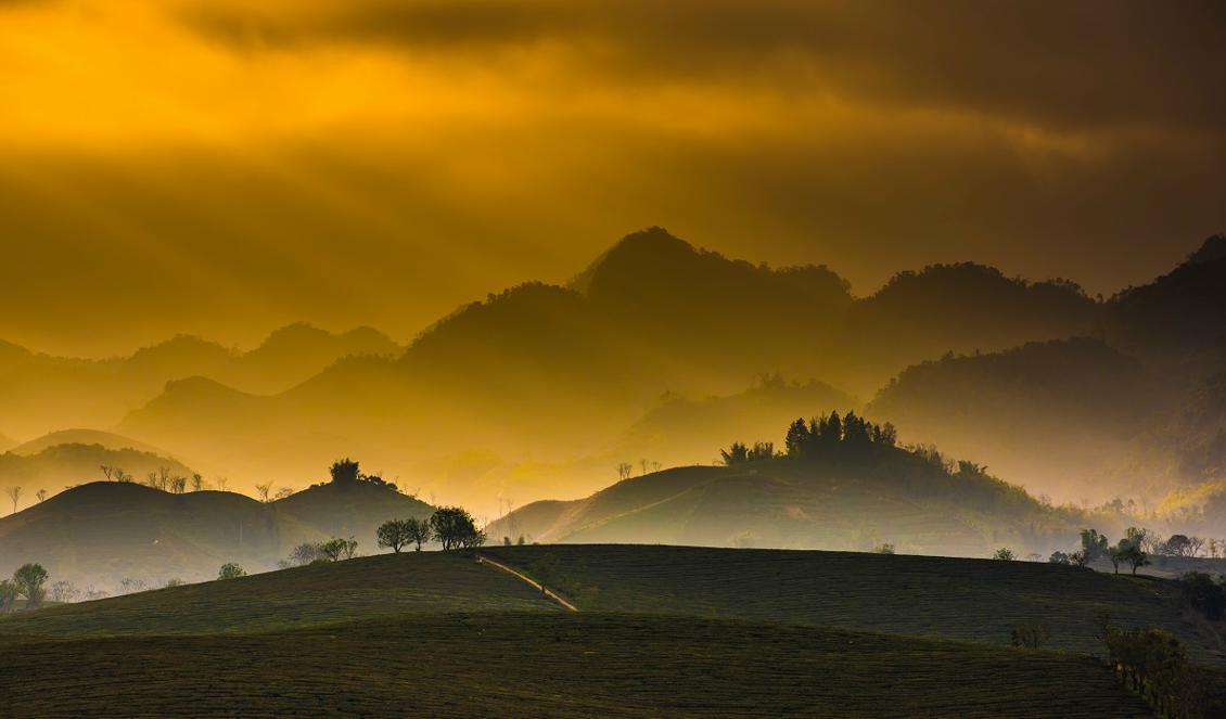 





















Foto: Linh Pham/Unsplash                                                                                                                                                                                                                                                                                                                                                                                                                                                                                                                                                                                                                                                                                                                                                                                                                                                                                                                                                                                                        