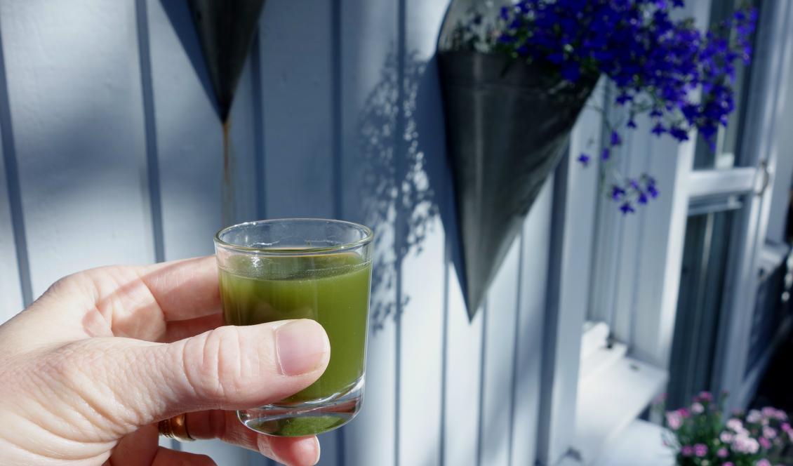 




En riktig piggelindrink. Foto: Eva Sagerfors                                                                                                                                                                                                                            