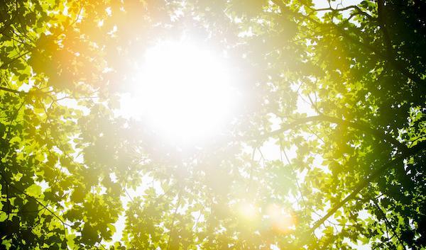 

Sommarvärmen har fått motstånd av en kallfront, men i nästa vecka väntas högre temperaturer på flera ställen i landet. Foto: Vegard Wivestad Grøtt/Scanpix/Arkivbild                                                                                        