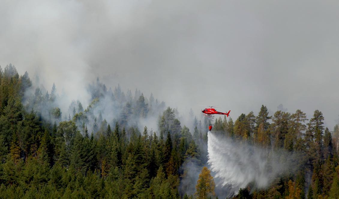 

Helikoptrar vattenbombar lågorna strax utanför Hammarstrand på måndagen. Foto: Mats Andersson/TT                                                                                        