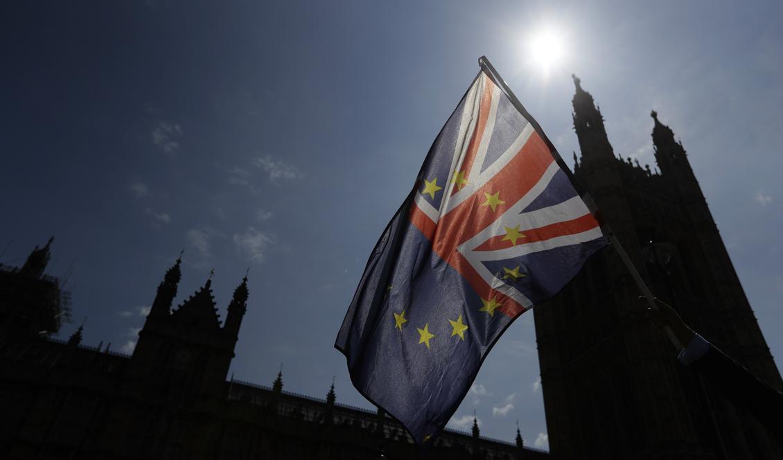 Parlamentet i London var ett av målen för en man som nu har dömts till fängelse på terroranklagelser. Foto: Kirsty Wigglesworth/AP/TT
