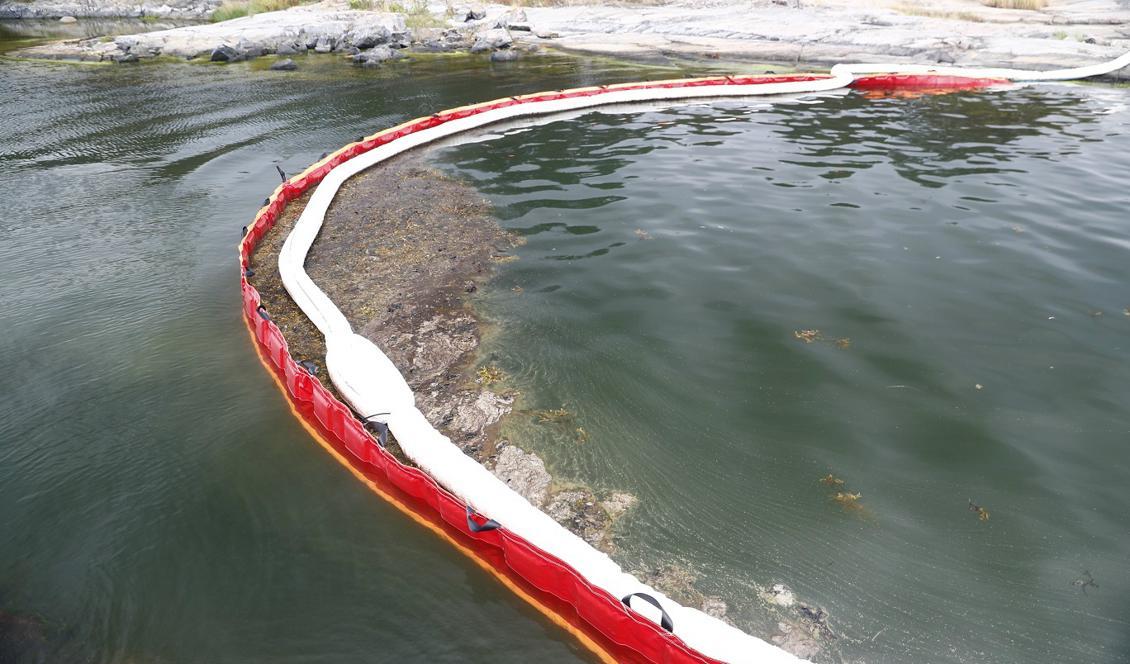 Olja samlas upp i vattnet vid Flatvarps hamn på Stora Askö. Oljan kommer från det grundstötta fartyget Makassar Highway som gick på grund norr om Västervik den 23 juli. Foto: Stefan Jerrevång/TT