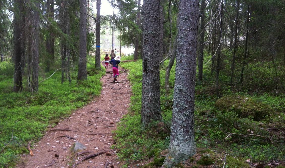 




Foto: Eva Sagerfors                                                                                                                                                                                                                            