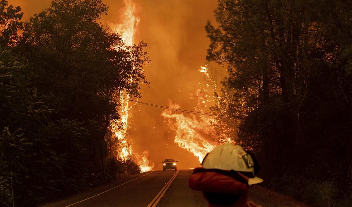 
Dramatiska scener vid väg 299, i Shasta, norra Kalifornien. Foto: Noah Berger/AP/TT                                            