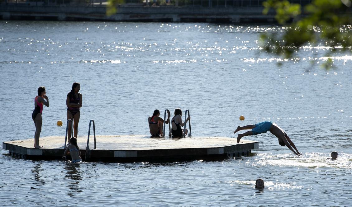 
Åska och regn lokalt, men värmen håller i sig ett tag till. Foto: Jessica Gow/TT/Arkivbild                                            