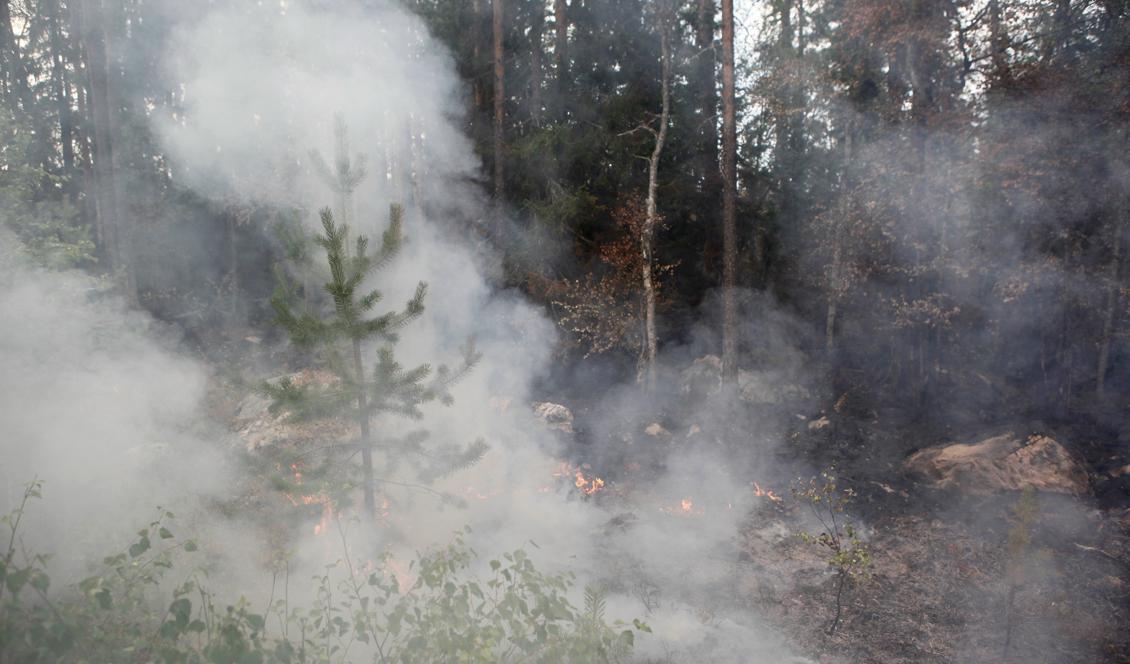 

Pyrande rök vid skogsbrand nära Ängra i Ljusdals kommun. Foto: TT                                                                                        