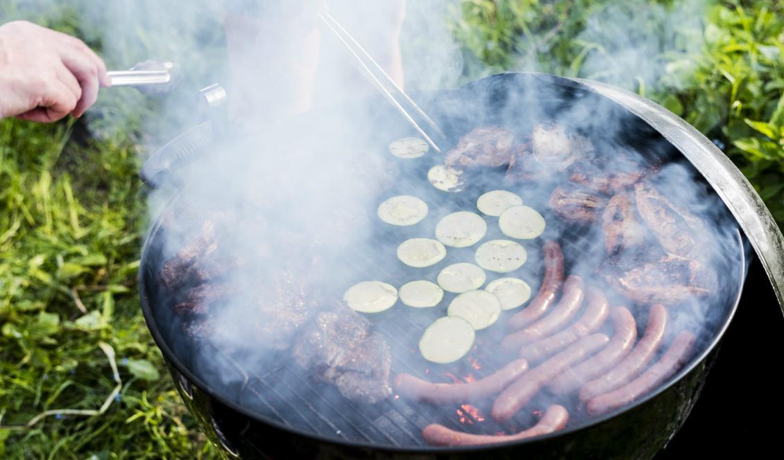 


Grillmiddagen blev en dyr historia för en man i Åhus. Foto: Henrik Holmberg/TT-arkivbild                                                                                                                                    