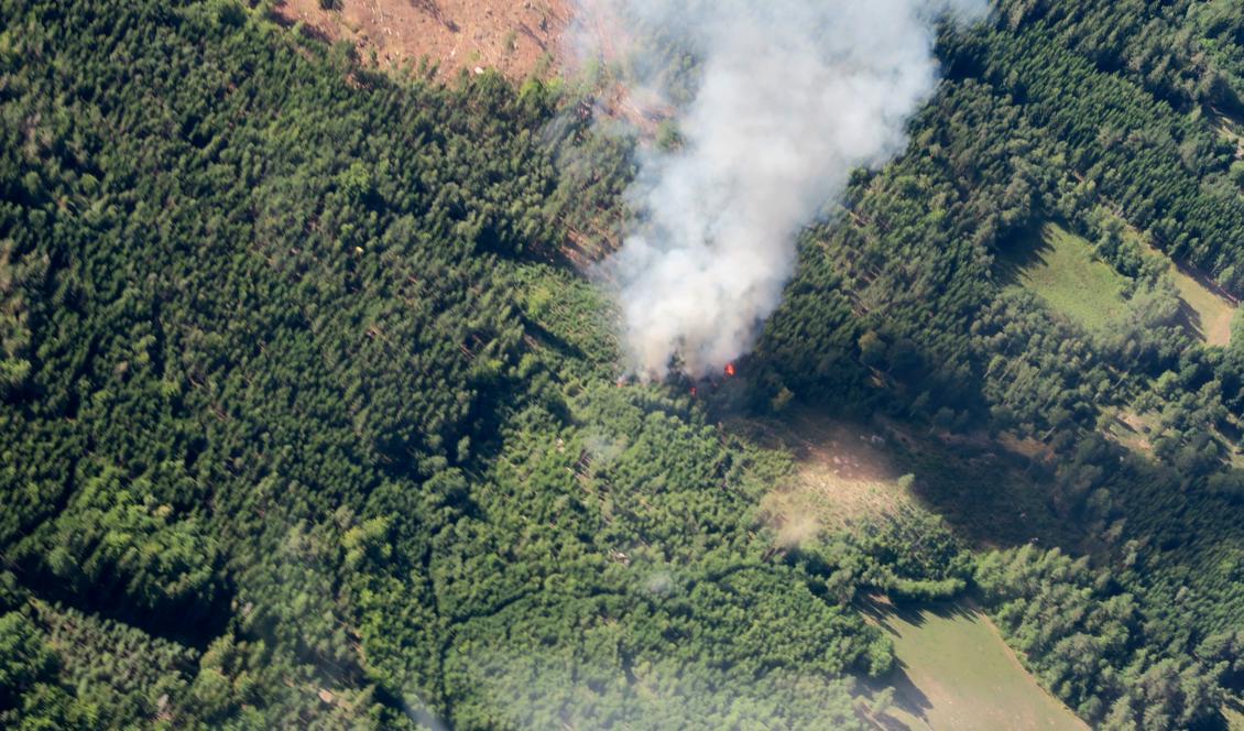 Så här såg det ut vid nedslagsplatsen efter morgonens haveri med ett Jas Gripen-plan. Foto: Blekinge flygflottilj/Försvarsmakten/TT