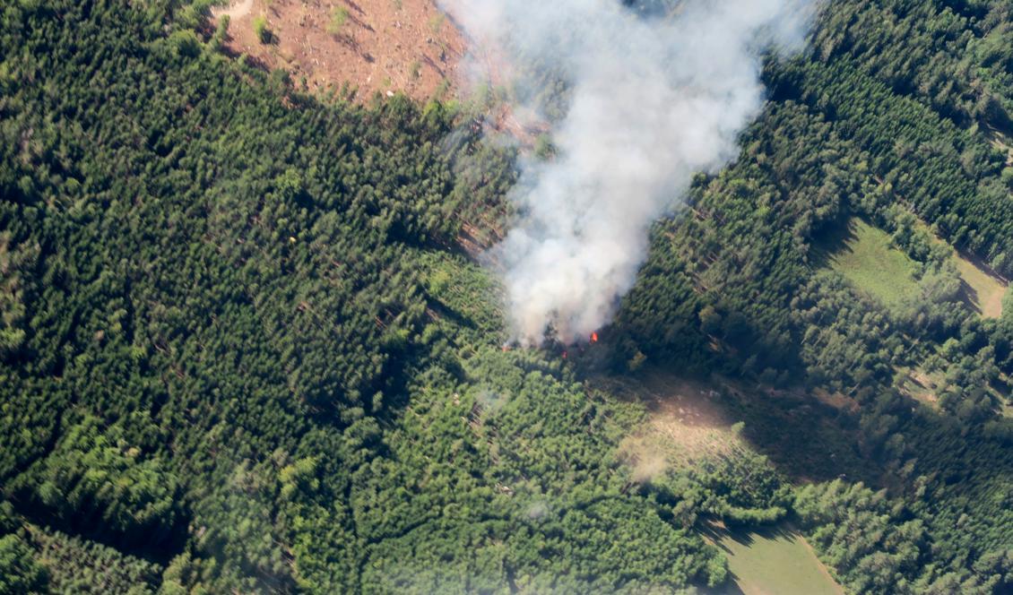 
Bild från nedslagsplatsen där Jas Gripenplanet kraschade den 21 augusti. Foto: Blekinge flygflottilj/Försvarsmakten/TT                                            