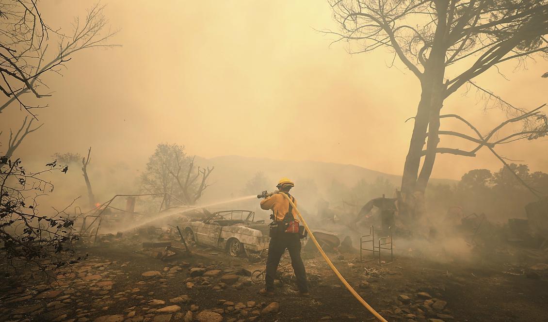

Foto: Kent Porter/AP/TT                                                                                        