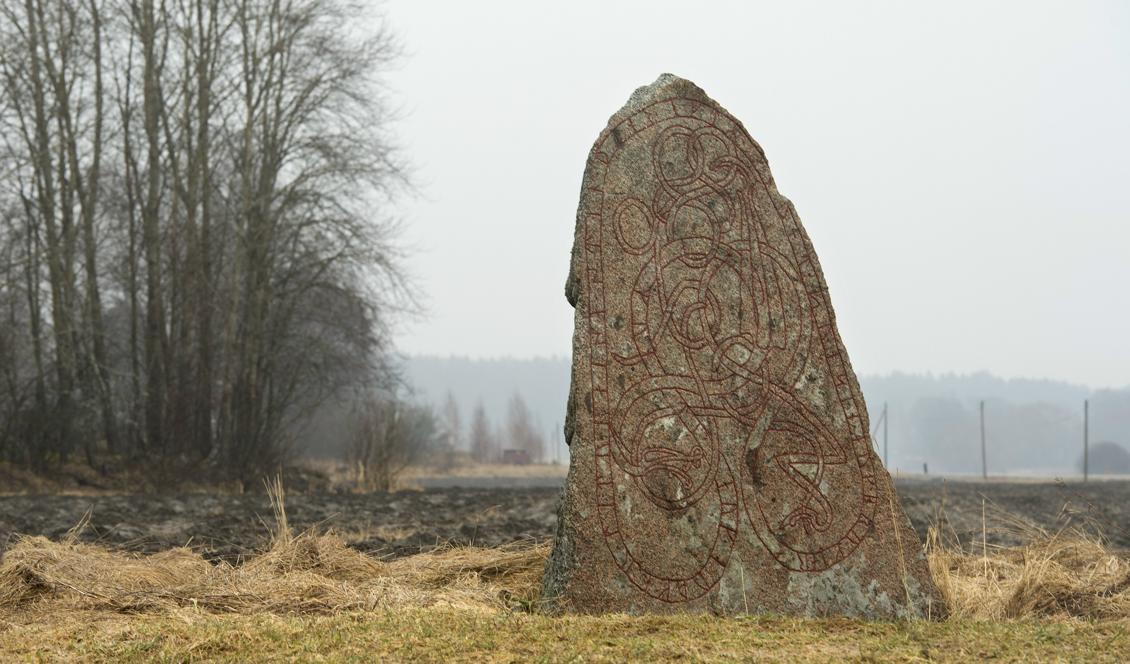 En helt annan runsten. Foto: Fredrik Sandberg/TT-arkivbild