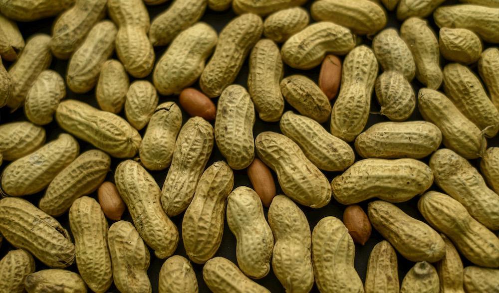 Albina Snacks återkallar jordnötter efter att höga halter av mögelgiftet aflatoxin hittats.  Foto: TT/Arkivbild.