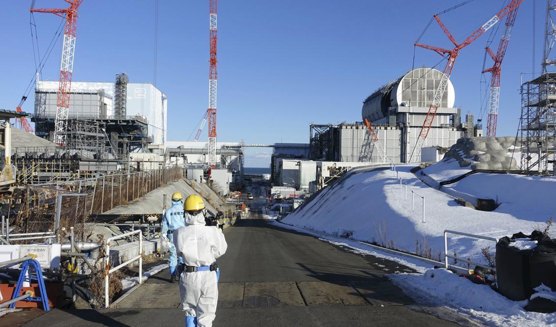 En anställd vid kärnkraftverket Fukushima avled efter att ha blivit utsatt för strålning. Foto: Mari Yamaguchi/AP/TT-arkivbild