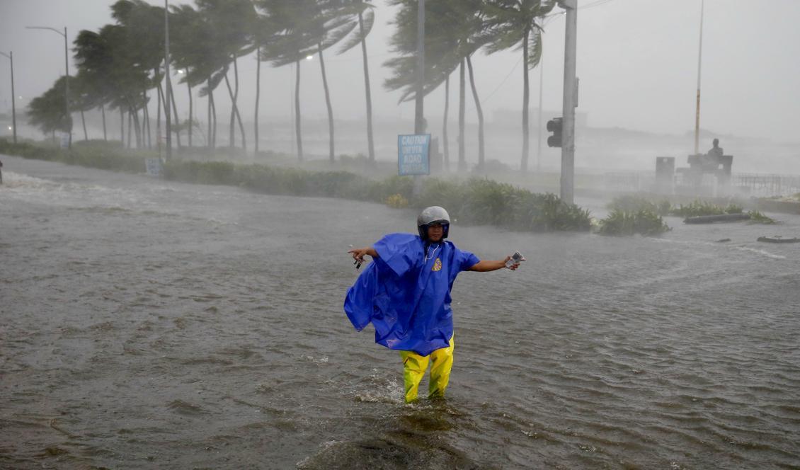 
En trafikvakt i huvudstaden Manila försöker fortsätta jobba trots tyfonens härjningar. Foto: Bullit Marquez/AP/TT                                            
