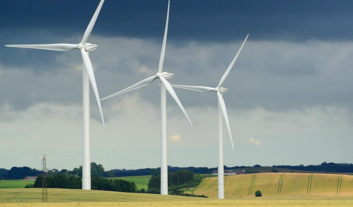 Alla konsumenter får en mix av el från flera energikällor – det oavsett vad man valt på elbolagets hemsida. På bilden vindkraftverk i Klågerup i Svedala kommun. Foto: Johan Nilsson/TT-arkivbild
