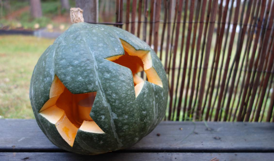 





Förra årets pumpalykta var grön med stjärnhål. Foto: Eva Sagerfors                                                                                                                                                                                                                                                                        