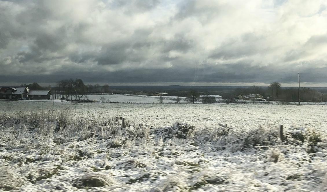 Höst, vinter – eller sommar? Vädret har svårt att bestämma sig just nu. Bild tagen från ett tåg mellan Skövde och Falköping i lördags. Foto: Marie Carlsson/TT