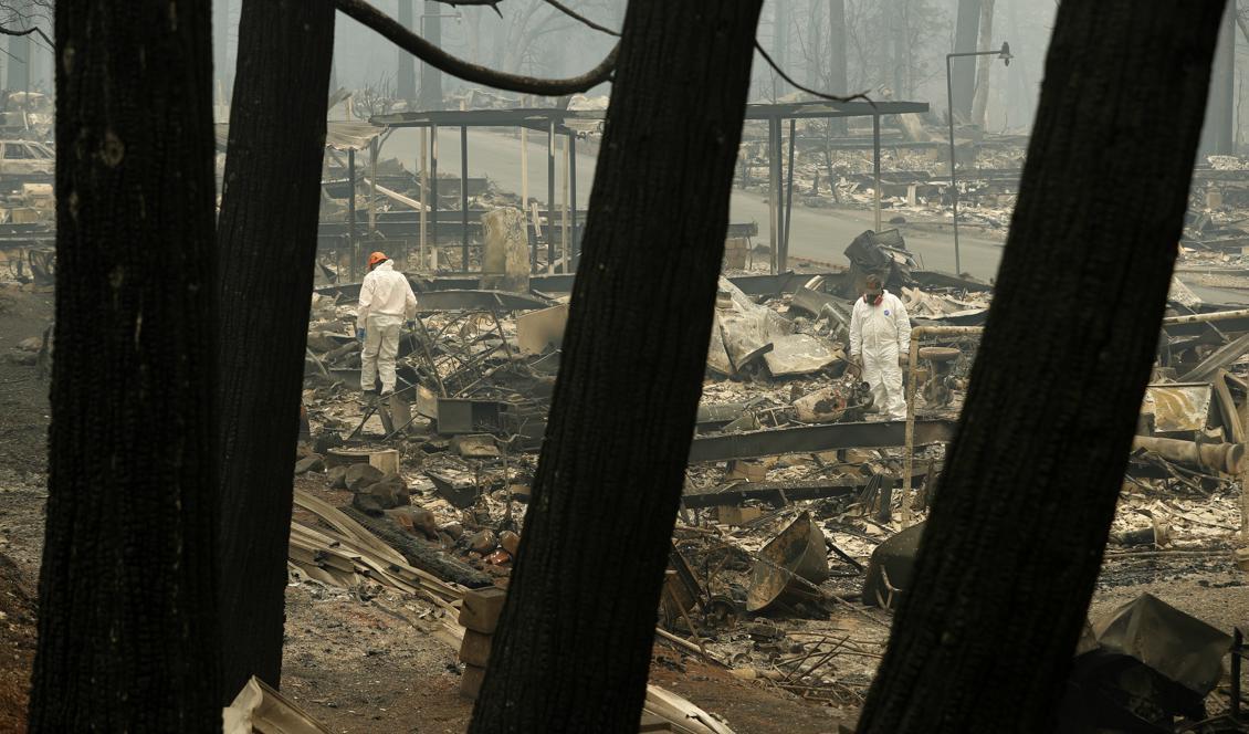 Sökarbetet kring staden Paradise i Kalifornien fortsätter. Foto: John Locher/AP/TT-arkivbild