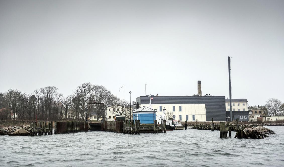 Ön Lindholm i Danmark. Foto: Mads Claus Rasmussen/AP/TT-arkivbild