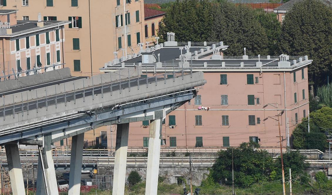 
Den kollapsade motorvägsbron i Genua i somras. Foto: Luca Zennaro/AP/TT-arkivbild                                                