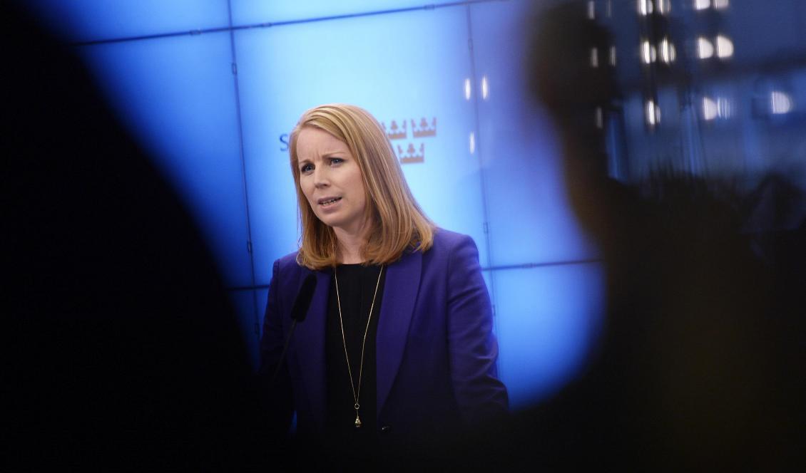
Centerpartiets ledare, Annie Lööf. Foto: Stina Stjernkvist/TT                                                