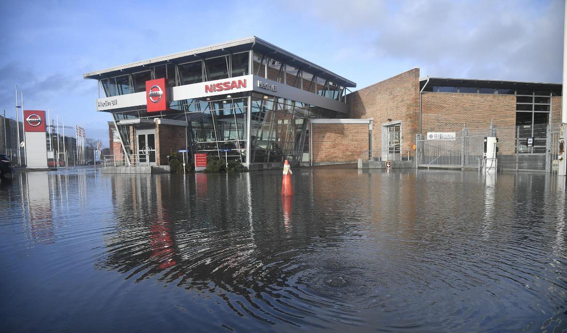 Mölndalsån i Göteborg har stigit över sina bräddar. Foto: Björn Larsson Rosvall/TT