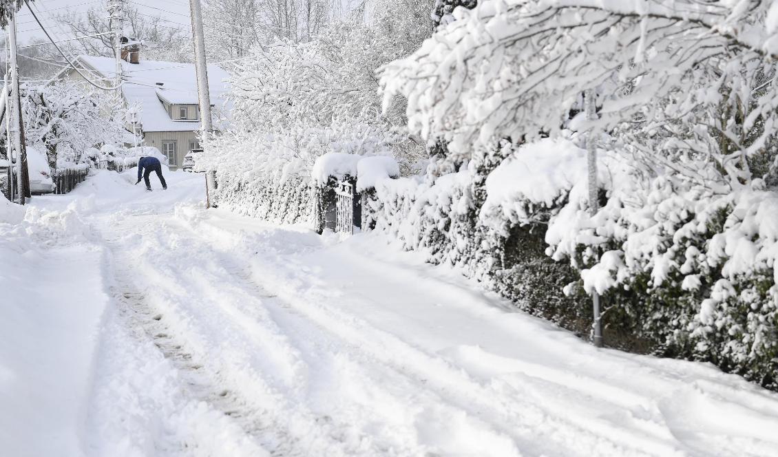 I norr kan ymnigt snöfall ställa till det. Foto: Henrik Montgomery/TT-arkivbild