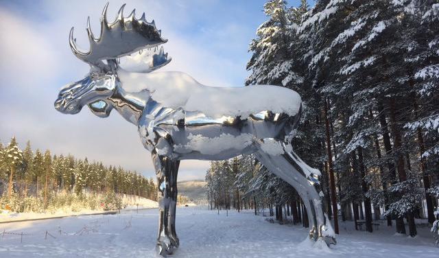 Den norska Storelgen restes 2015. Foto: Tore Sandberg/Stor-Elvdal kommune/TT