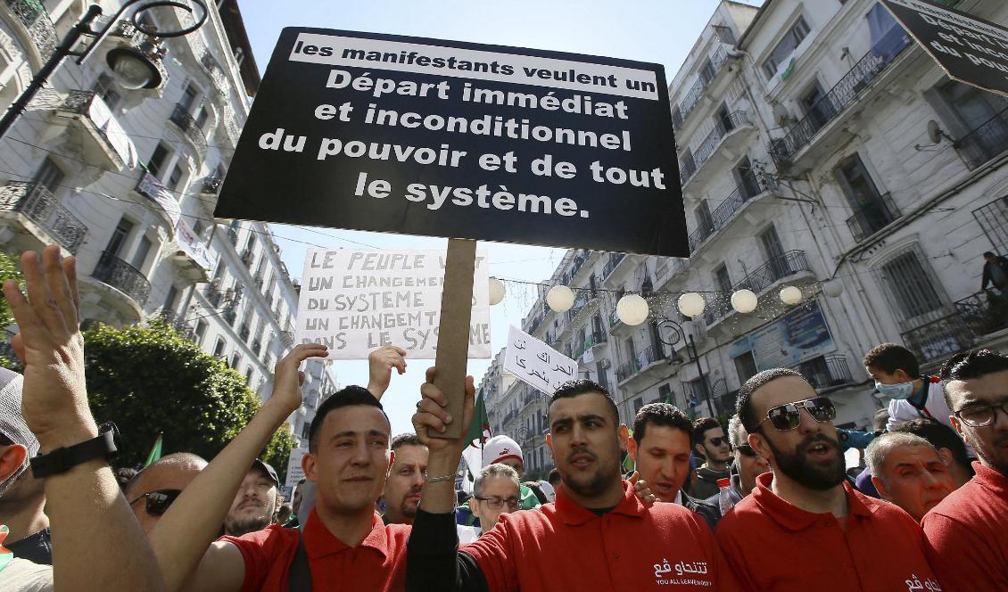 En demonstrant håller upp ett plakat som kräver systemskifte i Algeriet. Foto: Anis Belghoul/AP/TT