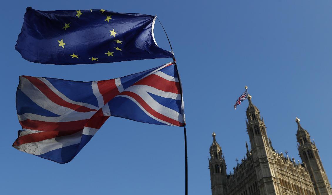 En ödesvecka väntar Storbritanniens när landets framtid i EU kan avgöras. Foto: Alastair Grant/TT