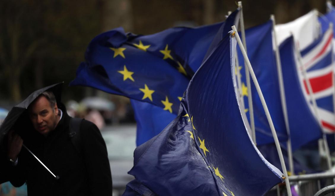 Brexitförvirringen fortsätter i Storbritannien. Foto: Frank Augstein/AP/TT-arkivbild