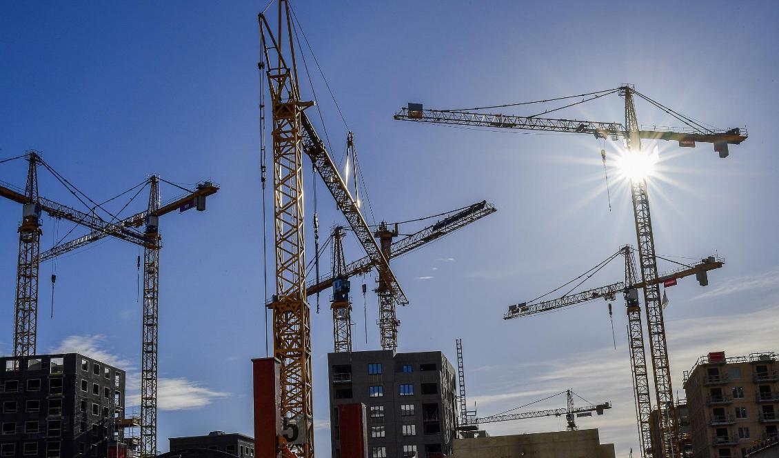 
Byggkranar vid Hagastaden i Stockholm. Foto: Jonas Ekströmer/TT-arkivbild                                                