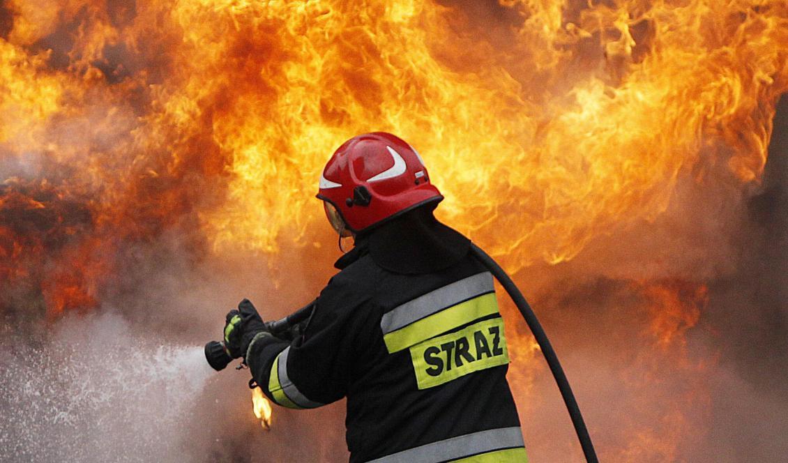 En polsk brandbekämpare. Foto: Czarek Sokolowski/AP/TT-arkivbild