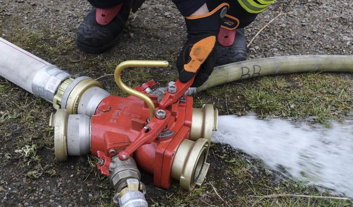 Risk för brand – fjolårsgräset är torrt allra längst ner i syd. Foto: Johan Nilsson/TT-arkivbild