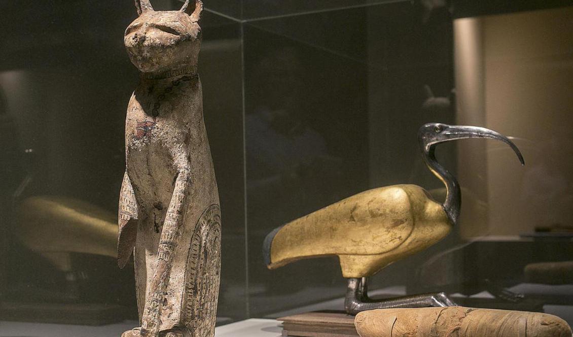 
En kattkista och dess mumie som visades vid en utställning om mumifierade djur på ett museum i Santa Ana i Kalifornien i USA för ett par år sedan. Foto: Damian Dovarganes/AP/TT-arkivbild                                                