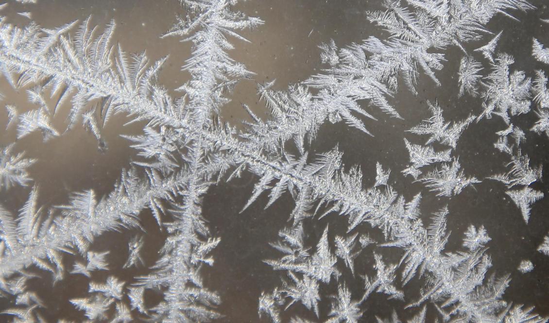 
Säsongens hittills lägsta temperatur uppmättes under natten i Nikkaluokta. Foto: Orlin Wagner/AP/TT-arkivbild                                                