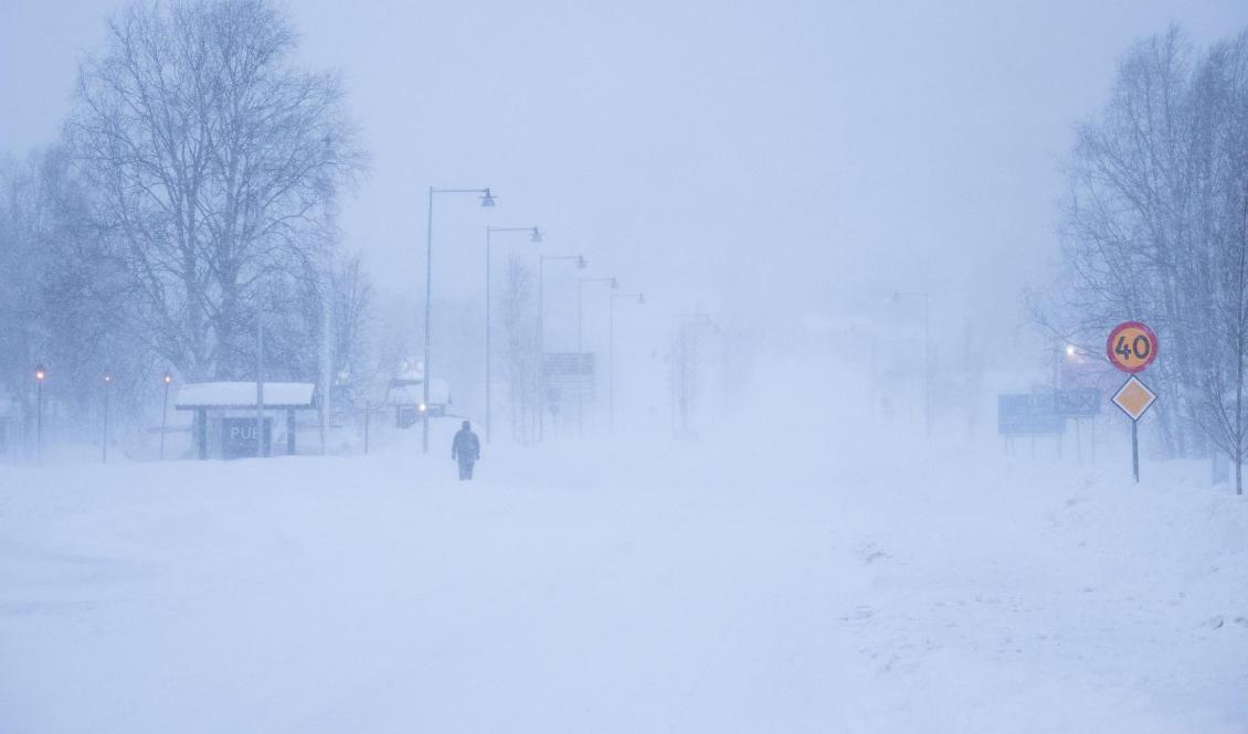 

En ny storm på väg in i norr. Foto: Jonas Berglund/TT-arkivbild                                                                                                