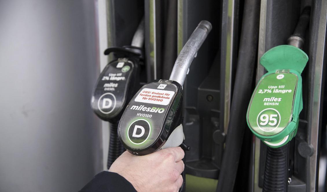 
Statsministern vill inte sänka skatten på drivmedel. Foto: Anders Wiklund/TT-arkivbild                                                