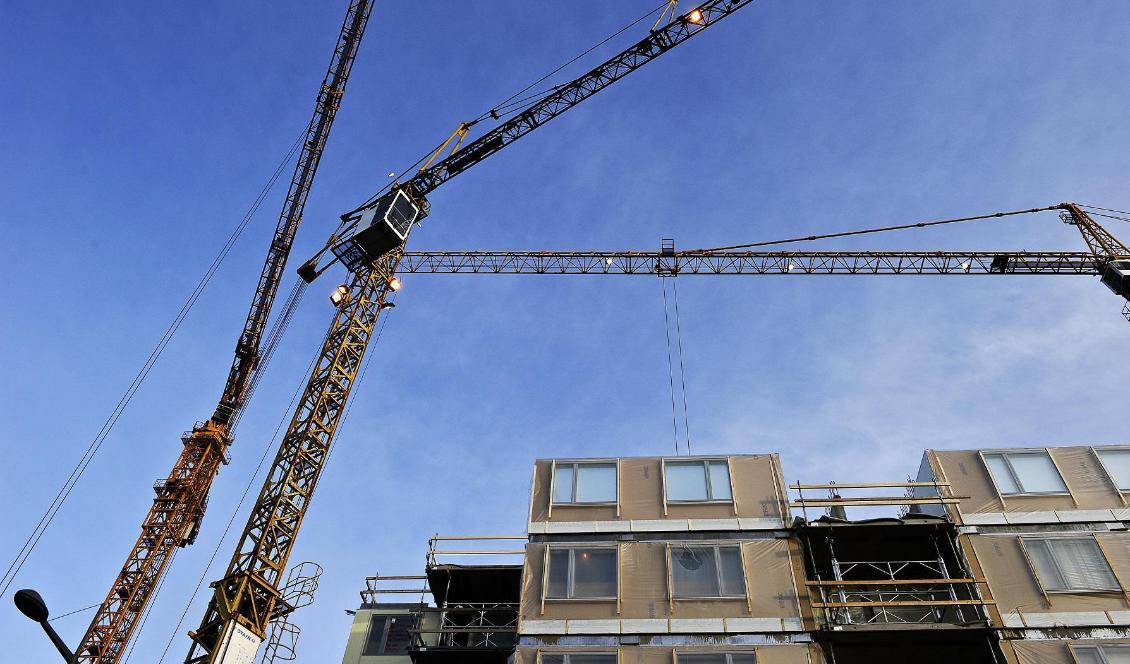 Byggkranar på ett bostadsbygge. Foto: Anders Wiklund/TT-arkivbild