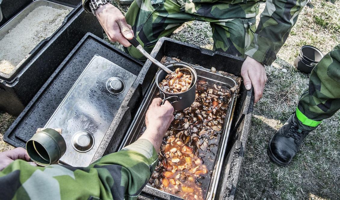 Fler värnplitiga behövs. Foto: Tomas Oneborg/SvD/TT-arkivbild