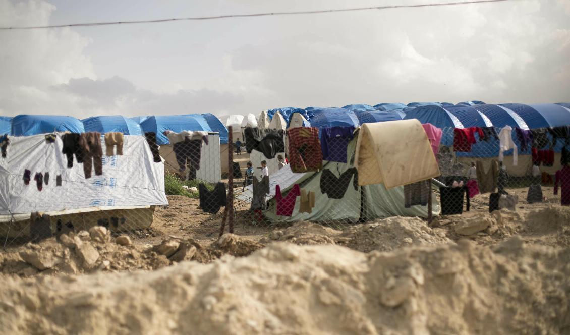 Tvätt hänger på tork i lägret al-Hol i Syrien där anhöriga till många utländska IS-medlemmar hålls fångna. Foto: Maya Alleruzzo/AP/TT-arkivbild