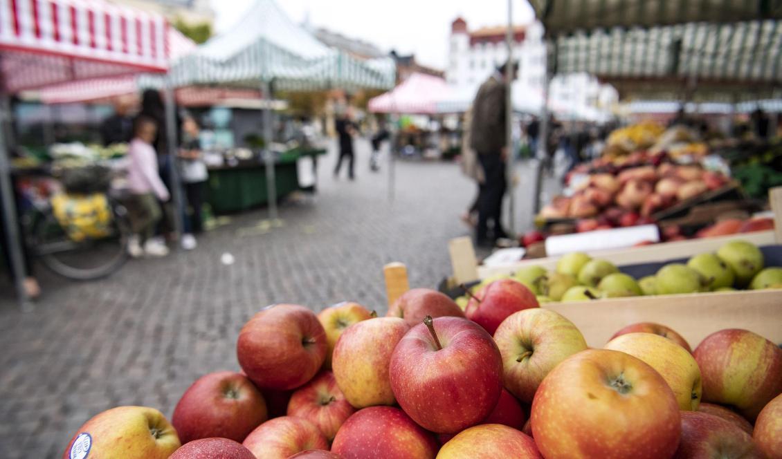 Här, på Möllevångstorget i Malmö, har polisen installerat en högtalare för att kunna ge order eller varna vid akuta situationer. Foto: Johan Nilsson/TT-arkivbild