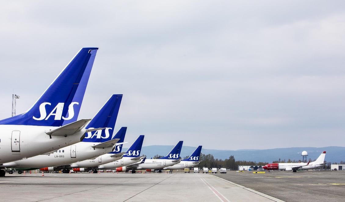 
SAS-planen fortsätter att stå på marken. Foto: Ole Berg-Rusten/NTB/TT-arkivbild                                                
