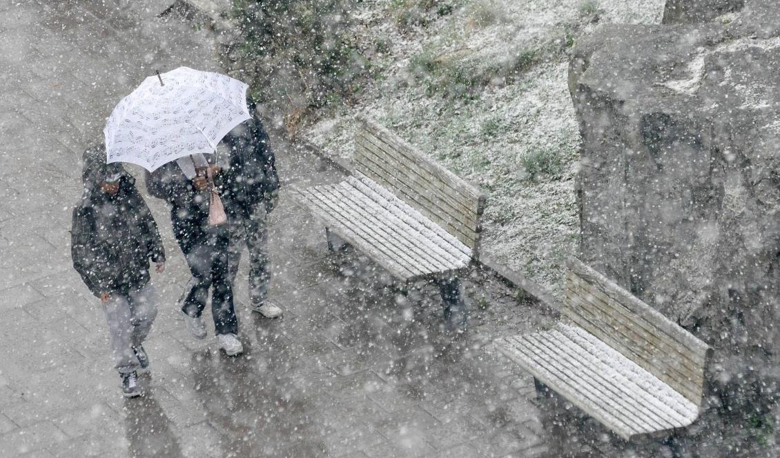 Det är ovanligt kallt för årstiden. Foto: Johan Nilsson/TT-arkivbild