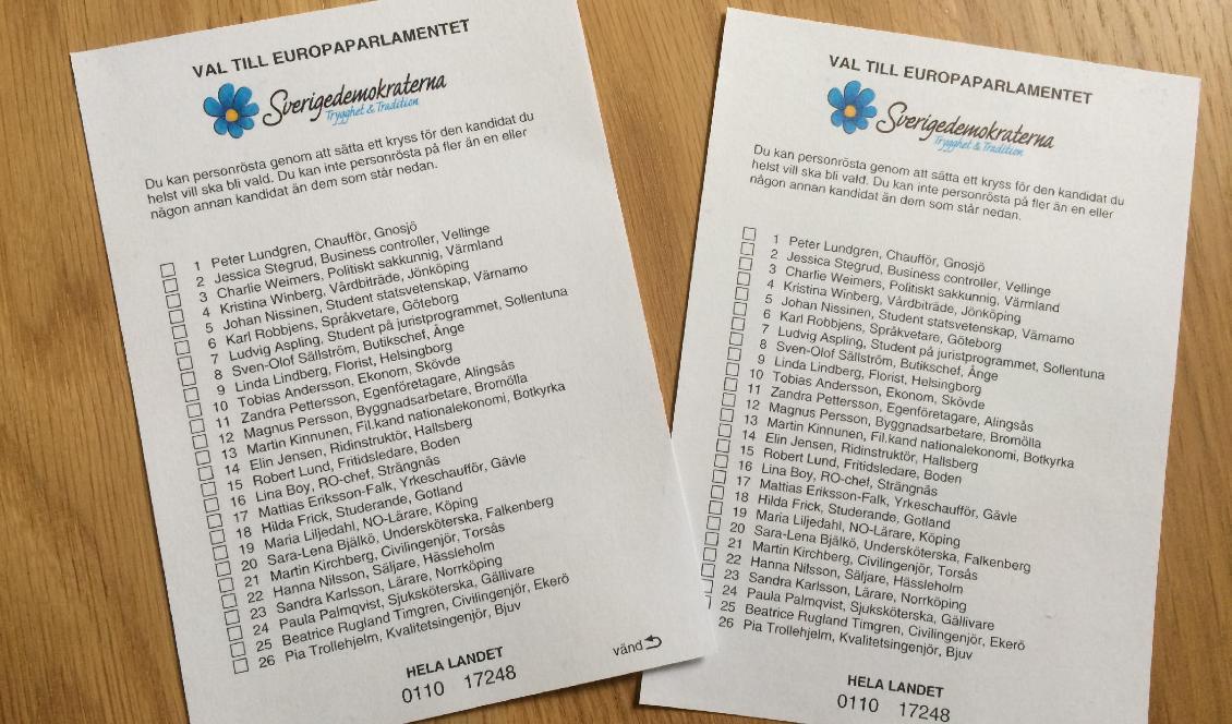 Sverigedemokraterna är den stora vinnaren inför EU-valet. Det visar Skop:s senaste undersökning. Foto: Epoch Times