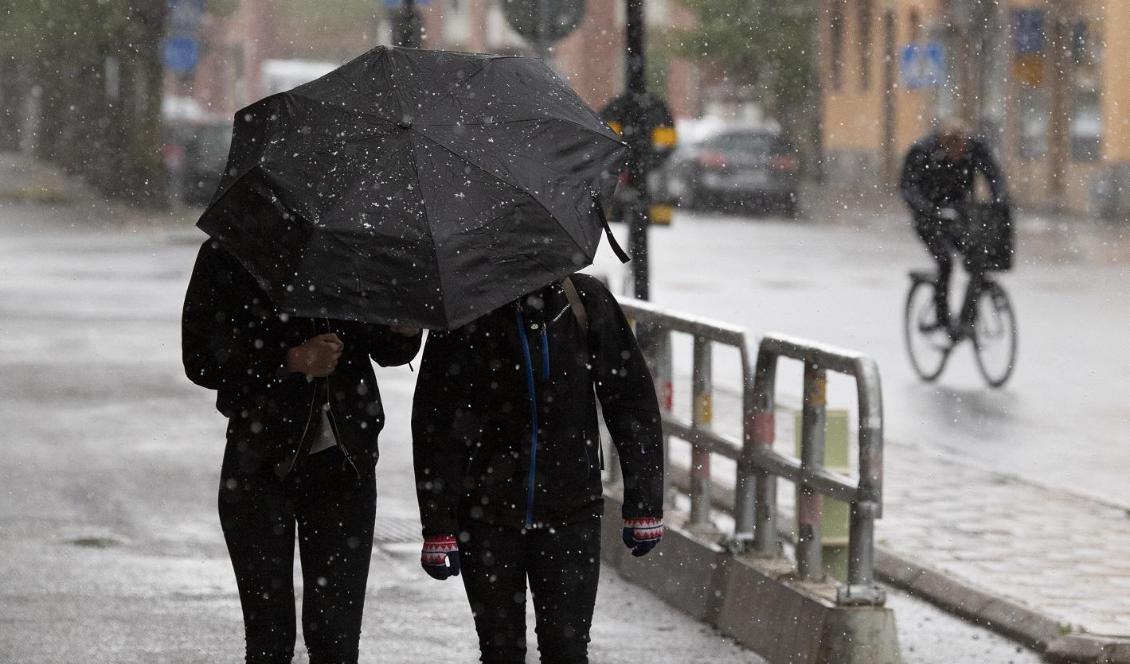 Snöfall i Örebro i början av maj. Foto: Henrik Montgomery/TT